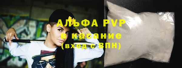 амф Гусь-Хрустальный